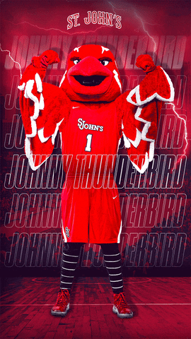 St Johns GIF by St. John's Red Storm