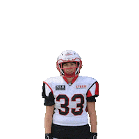 stuttgartscorpionssisters sisters stuttgart calling americanfootball Sticker