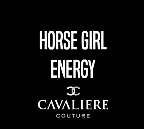 cavalierecouture giphygifmaker horse horses horse girl GIF