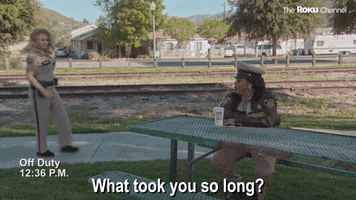 Reno 911 GIF by The Roku Channel