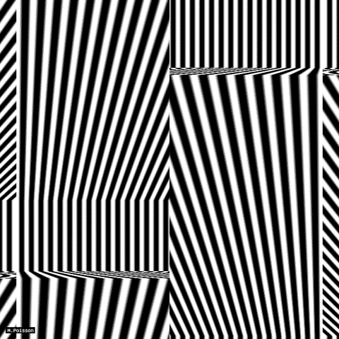 op art GIF by Michel Poisson