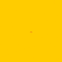 dhlexpressmx mexico express lider hrc GIF