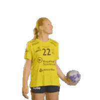 Rema1000Ligaen Sticker by Norsk Topphåndball