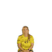 Rema1000Ligaen Sticker by Norsk Topphåndball