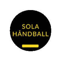 Sola Rema1000Ligaen Sticker by Norsk Topphåndball