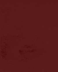Texas Am Win GIF by Texas A&M University