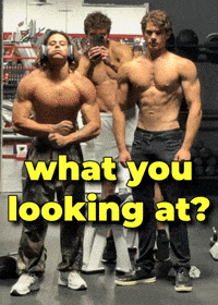 Fight Looking GIF