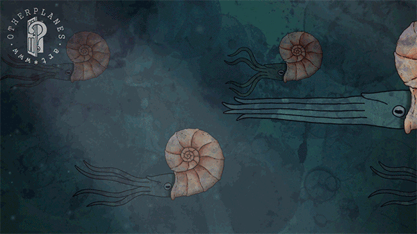 marine life ocean GIF by Other Planes