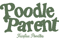 Poodle Sticker by Fairfax Poodles