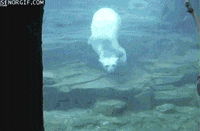 cola coca GIF