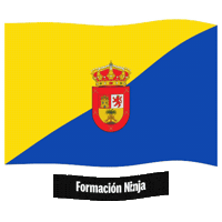 Gran Canaria Flag Sticker by Formación Ninja
