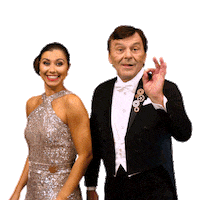 Ceskatelevize Televize Sticker