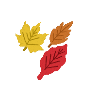 followthatjen fall autumn leaf leaves Sticker