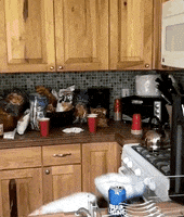 metzger GIF by Brooke