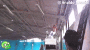 Parkour Rinaldomaciel GIF by Greenplace TV