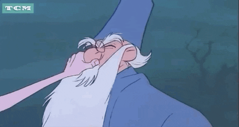 The Sword In The Stone Wizard GIF by Turner Classic Movies