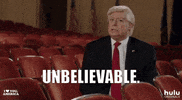 donald trump ok GIF by HULU