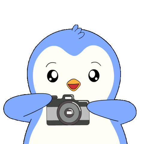 Travel Smile Sticker by Pudgy Penguins