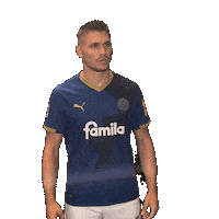 2 Bundesliga Football Sticker by Holstein Kiel