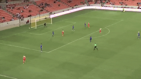 seattle reign fc soccer GIF by Houston Dash
