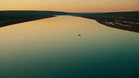 Surfing Hawaii GIF