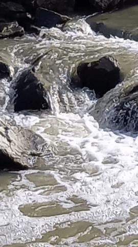 Simongip giphyupload GIF