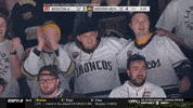 Frozen Four Wmu GIF by TheDreamTeam 