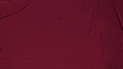 College Baseball GIF by Pearl River Athletics