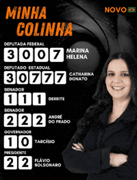 Novo Bolsonaro GIF by MarinaHelenaBR