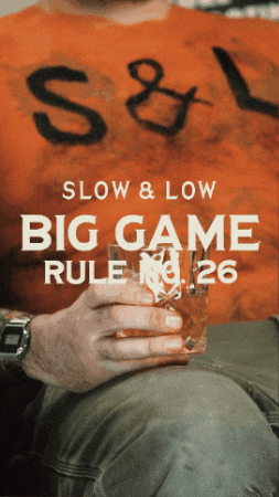 Big Game Football GIF by slowandlow