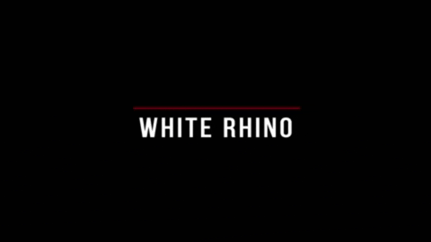 Film Production GIF by White Rhino