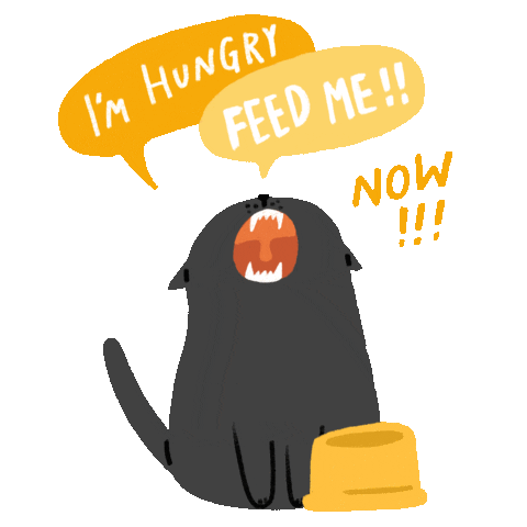 sesamenpeanut giphyupload cat hungry fat Sticker