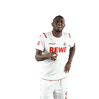 1 Fc Cologne Laugh Sticker by 1. FC Köln