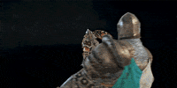 ForHonorGame game gaming xbox pc GIF