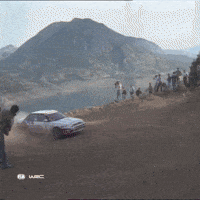 Group B GIF by FIA World Rally Championship