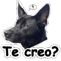 Thinking Pensando Sticker by Vitalsaludkids