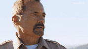 joanne the scammer cop GIF by Super Deluxe