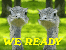 You Got This Lets Go GIF by Sealed With A GIF