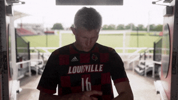 University Of Louisville Go Cards GIF by Louisville Cardinals