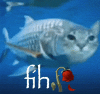 Cat Fish GIF