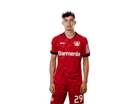 Bayer 04 Havertz GIF by Bayer 04 Leverkusen