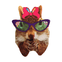 squirrel STICKER by imoji