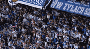 Football Soccer GIF by Lech Poznan