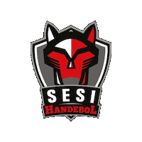 Handebol Sticker by Sesi Esporte