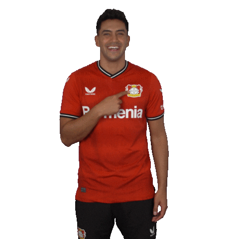 Proud Club Love Sticker by Bayer 04 Leverkusen