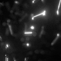 Design Loop GIF by xponentialdesign