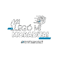 Orthometric insiders orthometric insidersdoctors moradita Sticker