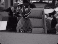 Samurai Pizza Cats GIF