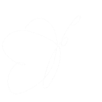 Lettering Butterfly Sticker