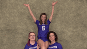 Cuw GIF by CUWFalcons